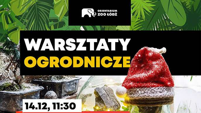  -  warsztaty zoo lodz