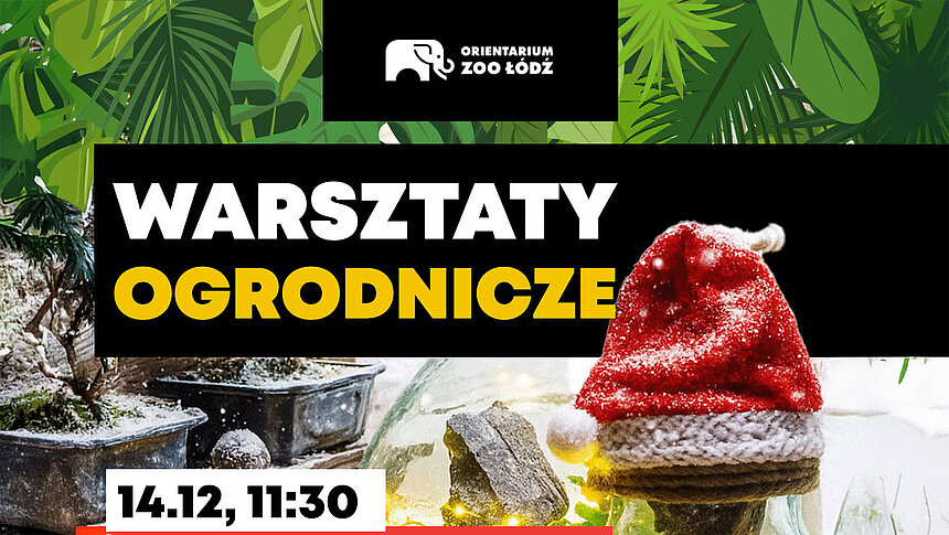 warsztaty zoo lodz