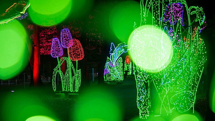  -  park miliona swiatel lodz