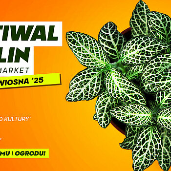 plakaty festiwal roslin