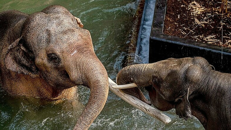 orientarium zoo lodz