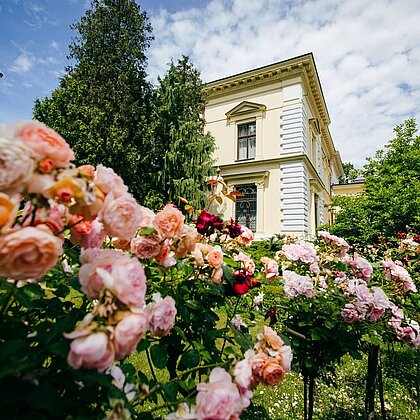  , Muzeum Pałac Herbsta
