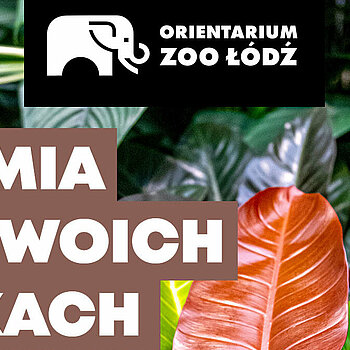 Warsztaty roślinne Zoo Łódź