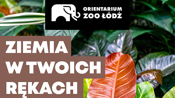  -  Warsztaty roślinne Zoo Łódź