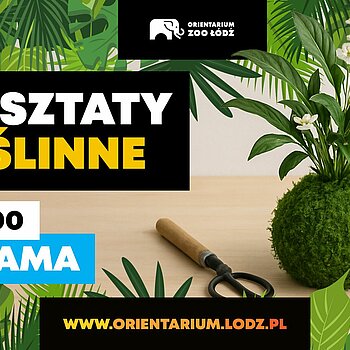 warsztaty roślinne zoo