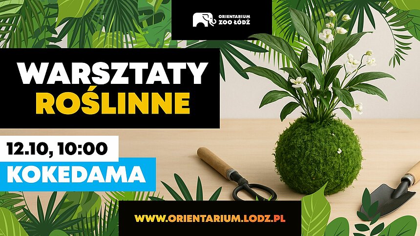 warsztaty roślinne zoo
