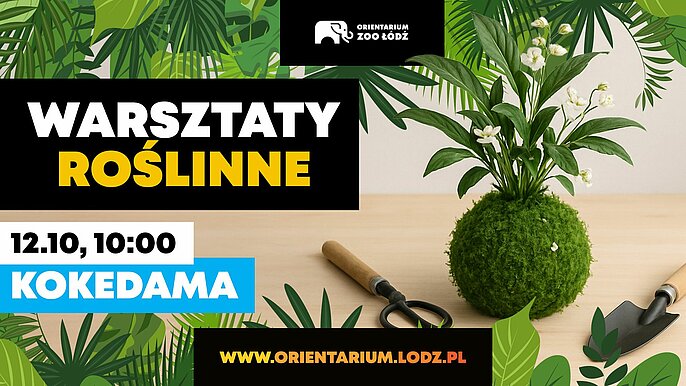 -  warsztaty roślinne zoo