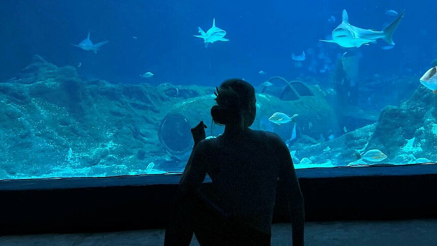 Joga wśród rekinów Orientarium ZOO Łódź