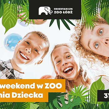 dzien dizecka zoo lodz