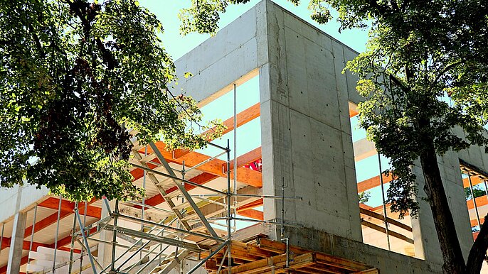 Orientarium Łódź -  P. Miłek