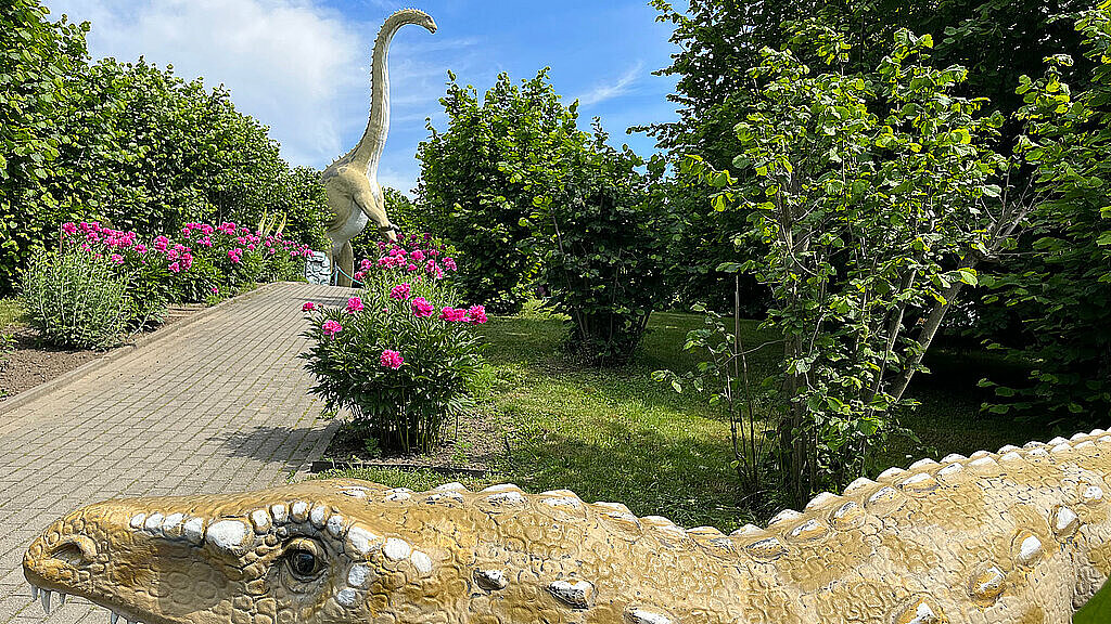  , dinopark kołacinek