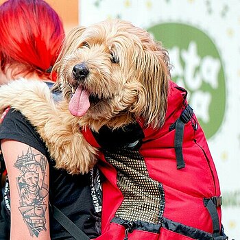 psi targ manufaktura lodz