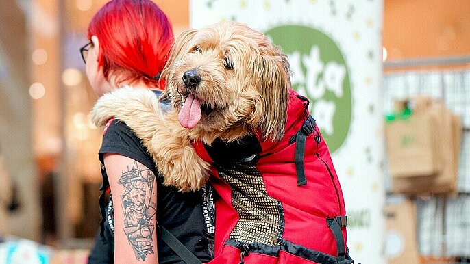  -  psi targ manufaktura lodz