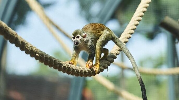 ZOO Łódź -  ZOO Łódź