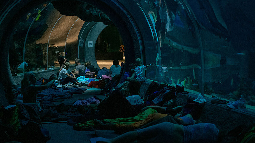 nocowanie w orientarium zoo łódź