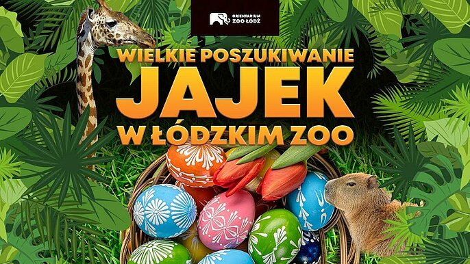  -  Wielkie szukanie jajek w ORIENTARIUM Zoo Łódź!