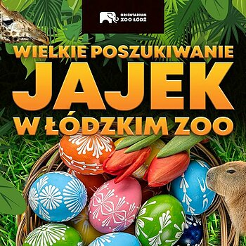 Wielkie szukanie jajek w ORIENTARIUM Zoo Łódź!