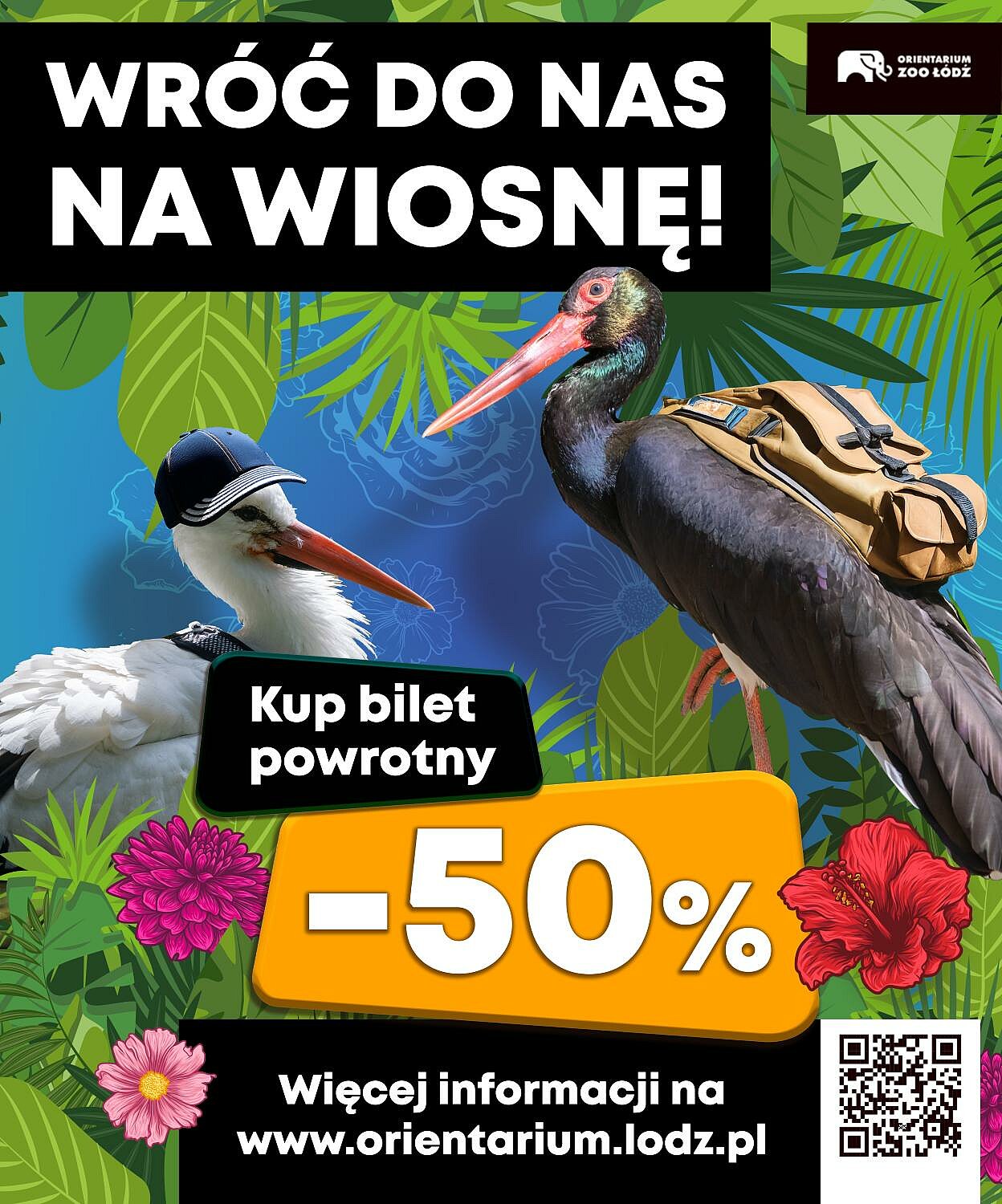  , wroc do zoo