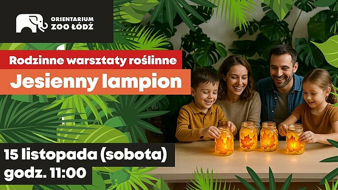  -  lampiony zoo lodz