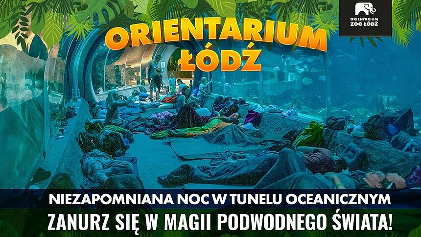 Orientarium nocą