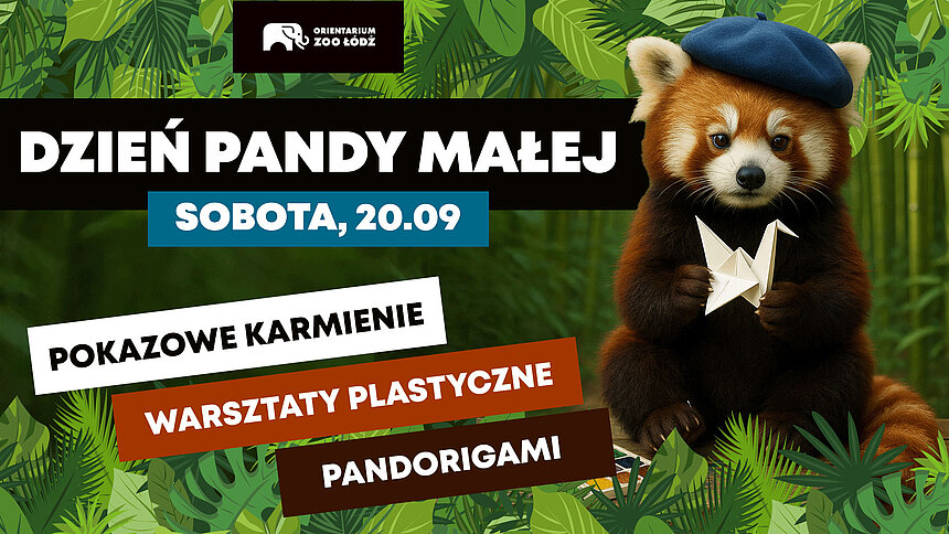 panda mala lodz