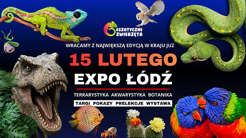 targi egzotycznych zwierząt lodz