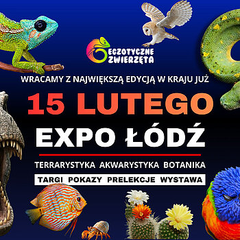 targi egzotycznych zwierząt lodz