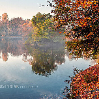 Godziny otwarcia łódzkich instytucji w okresie Wszystkich Świętych