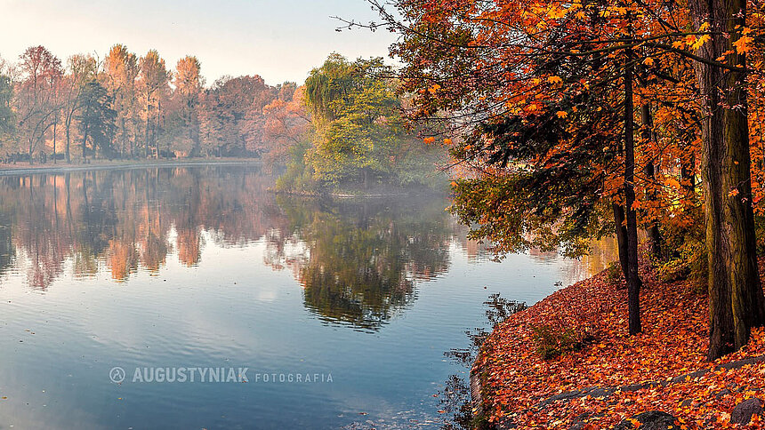 Godziny otwarcia łódzkich instytucji w okresie Wszystkich Świętych