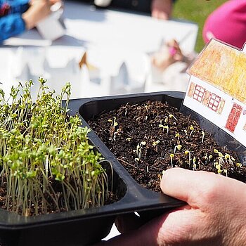 w ogrodzie warzywnym botanik łódź