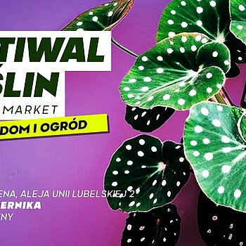 festiwal roslin lodz