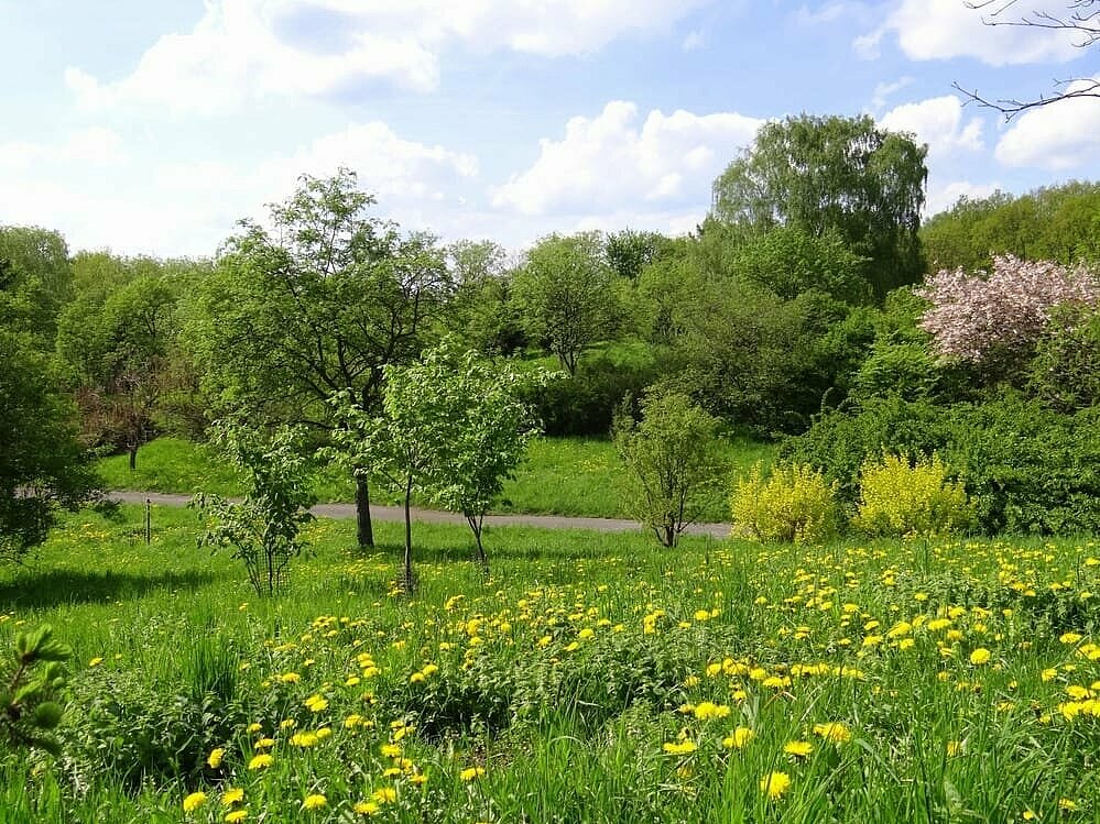 Botanischer Garten , fot. P.Miłek / ŁOT