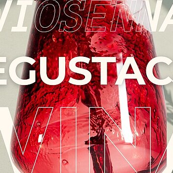 wincepcja degustacja wina lodz