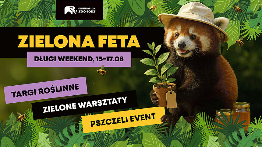 długi weekend w zoo lodz