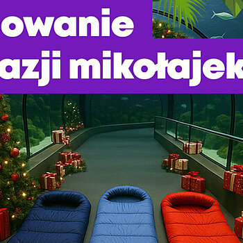 nocowanie orientarium lodz