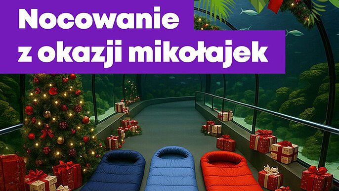  -  nocowanie orientarium lodz