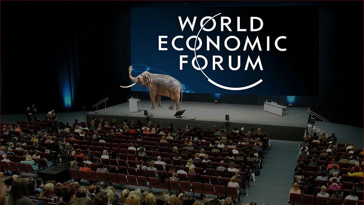Wystąpienie Aleksandra w Davos w 2021 roku 