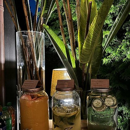  , rezydencja na wzgorzu lodz