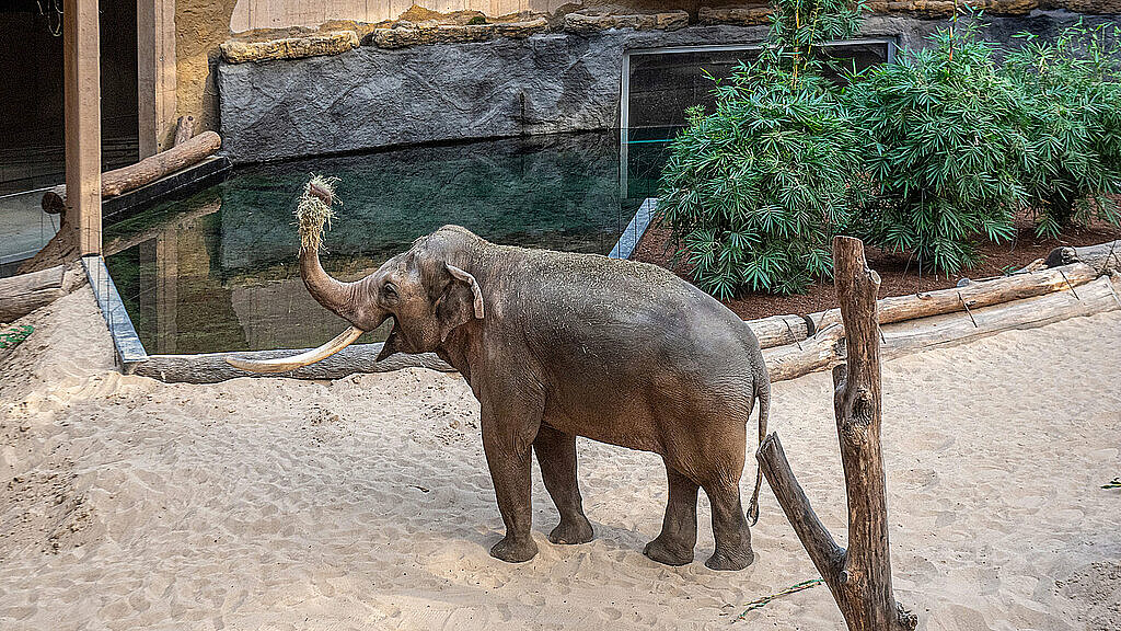  , orientarium zoo lodz