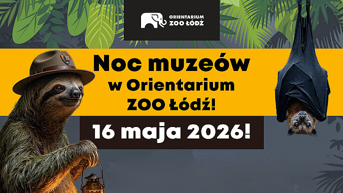  -  noc muzeów zoo łódź