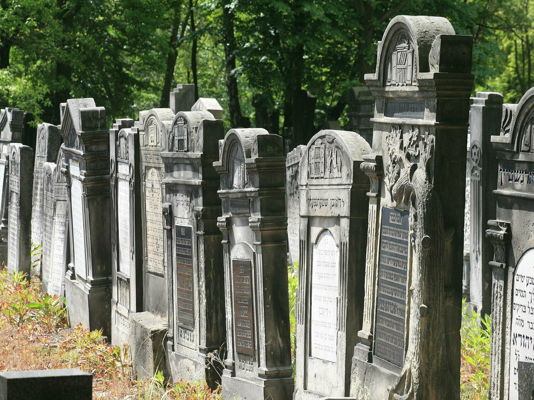 Cmentarz Żydowski , fot. A. Wach